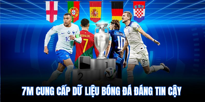 7m cung cấp dữ liệu bóng đá đáng tin cậy